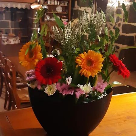 De La Poste Hotel Saint-Martin-sous-Vigouroux